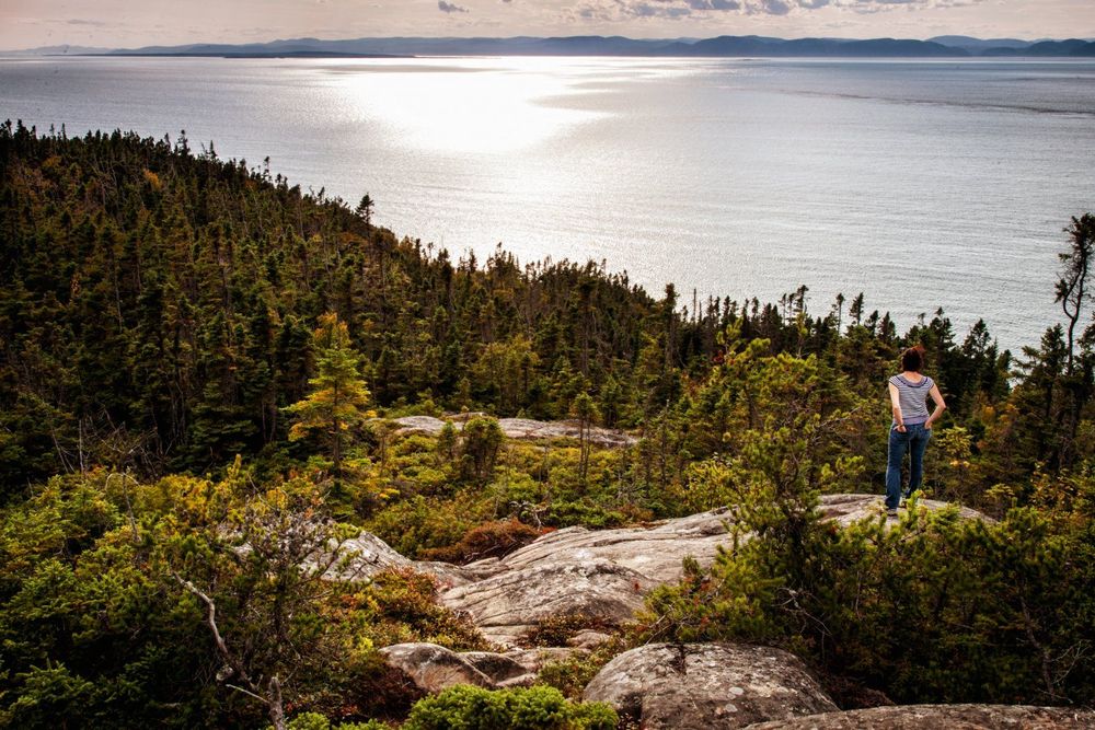 Our Story Product Image